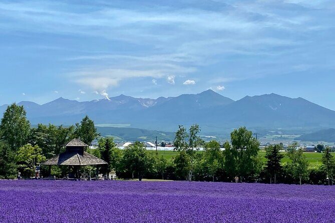Furano and Biei Special Complete package - Exploring the Itinerary: What to Expect at Each Stop