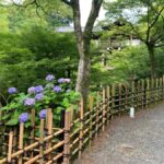 Fushimi Inari Deep Adventure: Hidden Trails & Shrine Ritual - Why Choose the Fushimi Inari Deep Adventure?