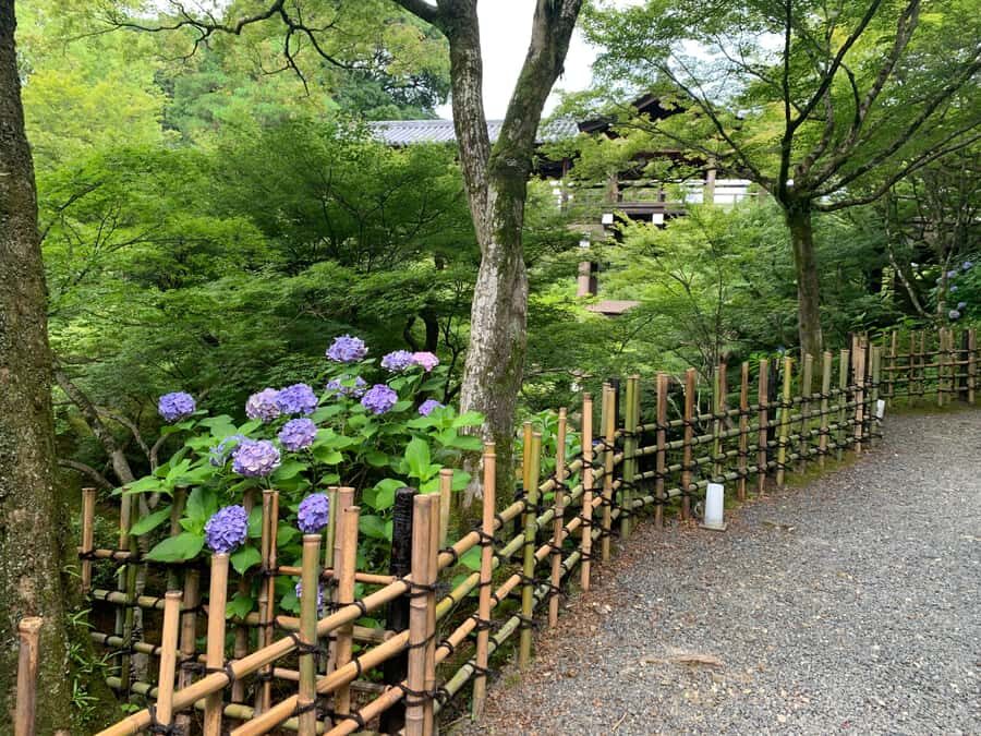 Fushimi Inari Deep Adventure: Hidden Trails & Shrine Ritual - Why Choose the Fushimi Inari Deep Adventure?