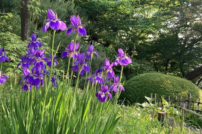 Futakotamagawa Suburban Gems Private Tour in Tokyo - Who Is This Tour Perfect For?