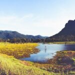 Gal Oya National Park Safari - The Ride into the Wilderness: What to Expect