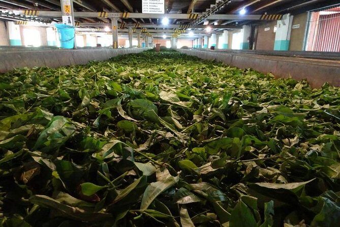 Galle and Bentota Day Excursion From Colombo - Exploring the Itinerary in Detail