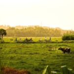 Galle: Countryside Cycling Tour with Hotel Transfer - Why Choose This Tour? The Practical Perspective