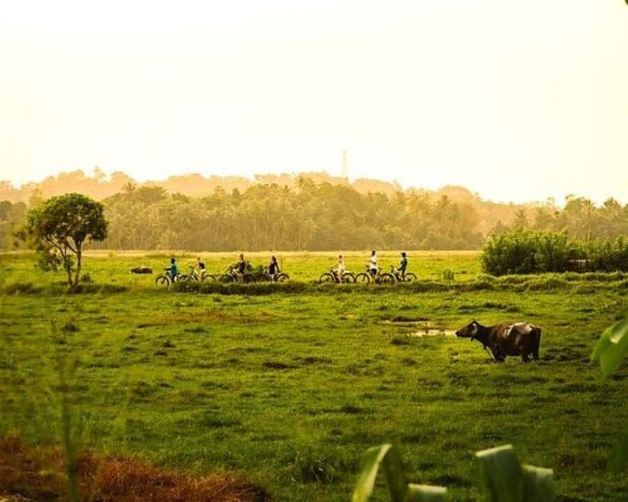 Galle: Countryside Cycling Tour with Hotel Transfer - Why Choose This Tour? The Practical Perspective