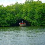 Galle Day Tour with Train Ride from Colombo or Negombo - Transportation & Duration: Making the Most of Your Day