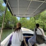 Galle Day Tour with Turtle Hatchery & River Boat Safari - An In-Depth Look at the Galle Day Tour