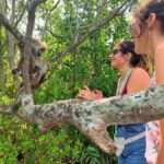 Galle: Koggala Lake Boat Safari with Monkeys Birds & Nature - The Sum Up