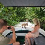 Galle: Koggala Lake Boat Tour - Cinnamon Island & Wildlife - Why You Should Consider This Tour