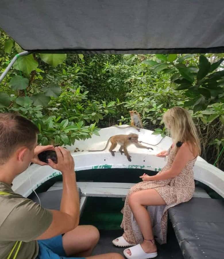 Galle: Koggala Lake Boat Tour - Cinnamon Island & Wildlife - Why You Should Consider This Tour