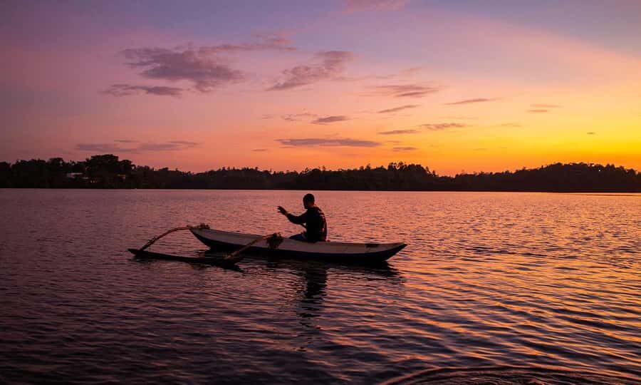 Galle/Mirissa: Koggala Lake Boat Safari and Kayaking Tour - An In-Depth Look at the Koggala Lake Tour
