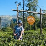 Galle: Nuwara Eliya Private Tour with Tea Factory Visit - Scenic Drive: Mountains, Valleys, and Mist