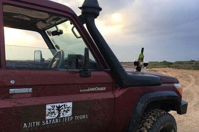 Galle/Tangalle/Mirissa/Hiriketiya - YALA Safari - Drop: Arugambay - Who Should Consider This Tour?