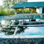 Galle: Udawalawa National Park Safari & Hot Springs Tour - Detailed Breakdown of the Tour