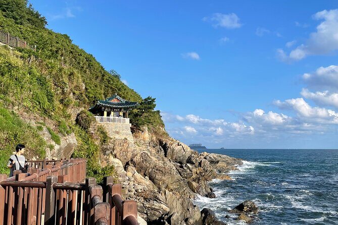 Gangneung Sightseeing Day Tour - Practical Information and Experience Insights