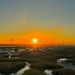 Gaomei Wetland Day Trip from Ximending - Who Should Consider This Tour?