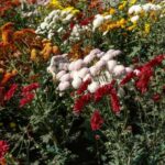 Garden & Botanical Sightseeing of Kathmandu Valley - The Sum Up: Is this the right tour for you?