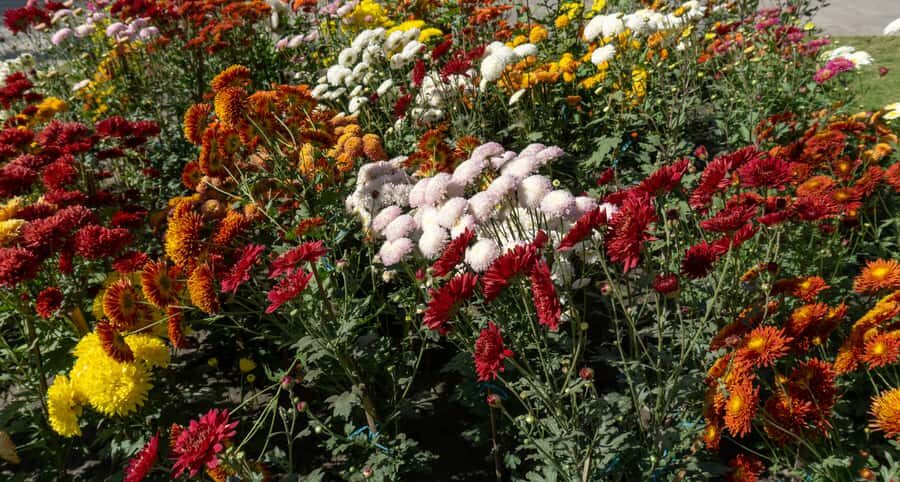 Garden & Botanical Sightseeing of Kathmandu Valley - The Sum Up: Is this the right tour for you?