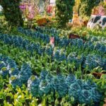 Garden By Bay Cloud Forest, Flower Dome & Supertree Observatory - Is It Worth the Price?