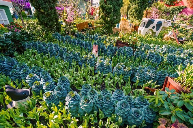 Garden By Bay Cloud Forest, Flower Dome & Supertree Observatory - Is It Worth the Price?