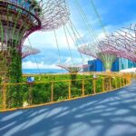 Garden by the Bay Ticket Only Optional Skypark Observation Deck - Practical Tips on Visiting