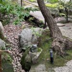 Garden Stroll and Matcha Break in Nagoya - The Itinerary and What You Can Expect
