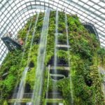 Gardens by the Bay Cloud Forest Flower Dome and Supertree - A Deep Dive into the Experience