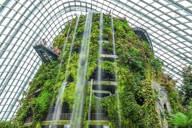 Gardens by the Bay Cloud Forest Flower Dome and Supertree - A Deep Dive into the Experience
