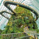 Gardens by the Bay Flower Dome and Cloud Forest Entry Ticket - Why This Tour Offers Great Value