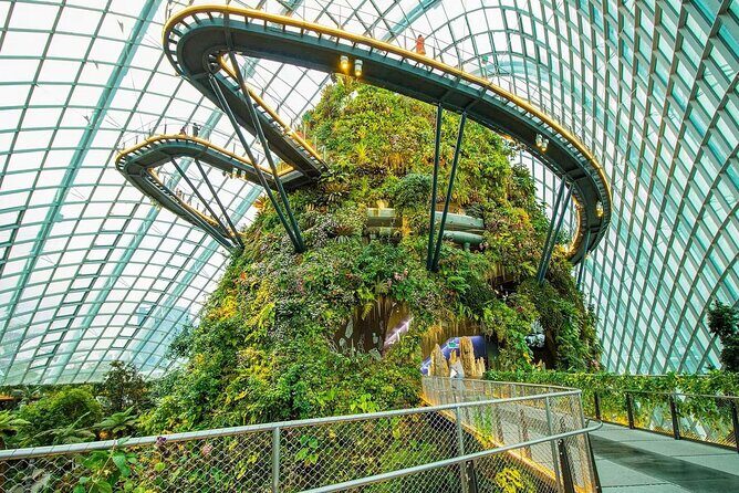 Gardens by the Bay Flower Dome and Cloud Forest Entry Ticket - Why This Tour Offers Great Value