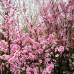 Gardens by the Bay Tickets: Cloud Forest & Flower Dome - Is This Tour Worth It?