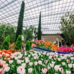 Gardens by the Bay with FD +CF featuring Jurassic World Singapore - What Travelers Say: Authentic Feedback