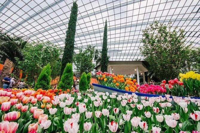 Gardens by the Bay with FD +CF featuring Jurassic World Singapore - What Travelers Say: Authentic Feedback