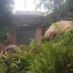 Gems of Chiangmai: Dantewada, Wat Ban den, Sticky Waterfall - Why This Tour Offers Great Value