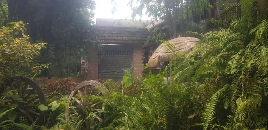 Gems of Chiangmai: Dantewada, Wat Ban den, Sticky Waterfall - Why This Tour Offers Great Value