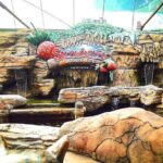 Genting Highland Day Tour From Kuala Lumpur Include 2-way Cable Car Ride & Lunch - Authentic Traveler Insights