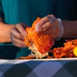 Geraldton: Behind-The-Scenes Ocean Harvest Tour - Why This Tour Offers Great Value