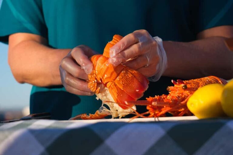 Geraldton: Behind-The-Scenes Ocean Harvest Tour - Why This Tour Offers Great Value