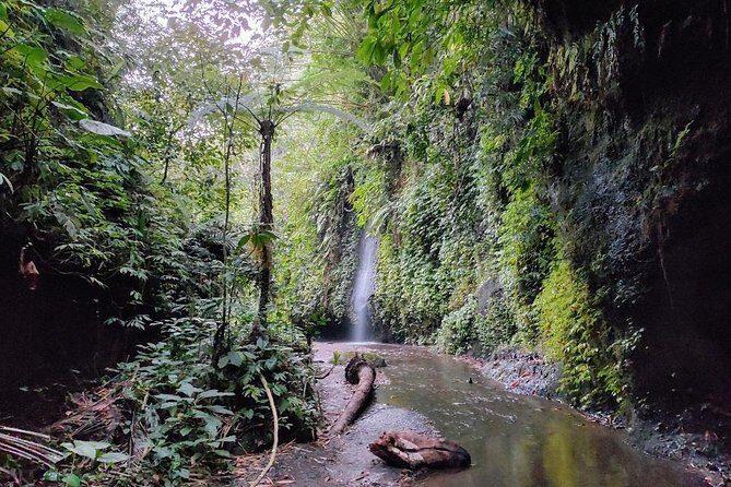Get wet on Bali's most stunning waterfalls - Cultural and Scenic Stops Along the Way