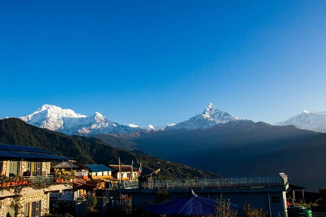 Ghorepani Poonhill Ghandruk Trek from Pokhara: 4-Day Adventure - Authentic Insights from Reviews