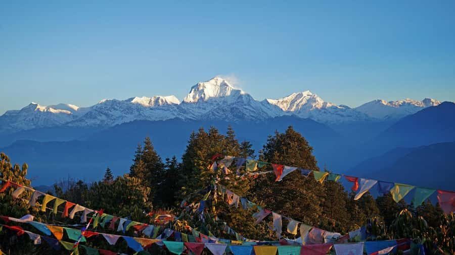 Ghorepani Poonhill Trek 8 Days - Detailed Breakdown of the Itinerary