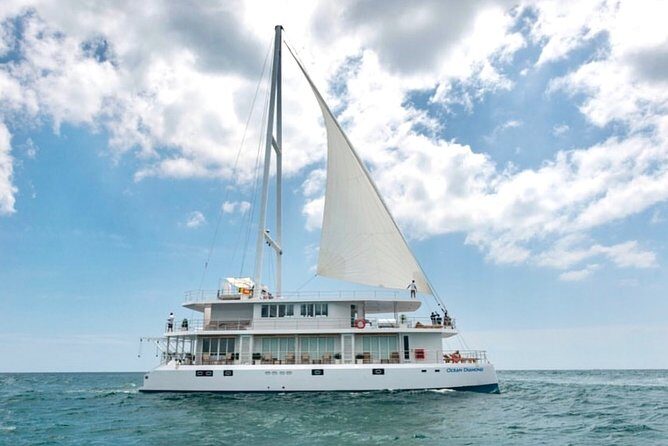 Giant Loop Cruise Mirissa - What Travelers Say: Authentic Insights