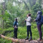Gibbon Conservation and Cultural 2-Days Adventure - What’s Included and What You Should Consider
