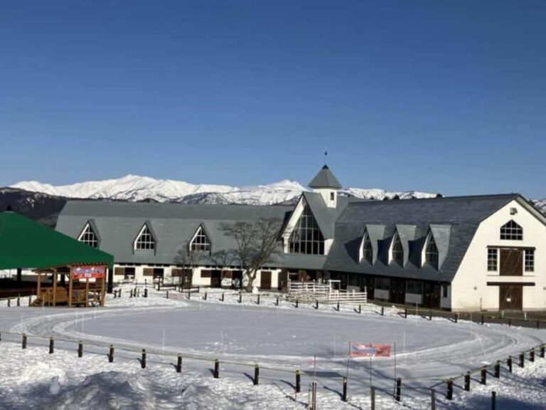 Gifu: Gujo Hachiman, Bokka no Sato, & Onsen Day Trip - The Full Itinerary Breakdown