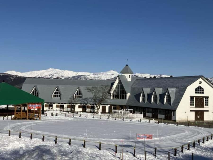 Gifu: Gujo Hachiman, Bokka no Sato, & Onsen Day Trip - The Full Itinerary Breakdown