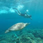 Gili Air Share Snorkeling Tour With GOPRO Documentation - Authentic Experiences from Reviews
