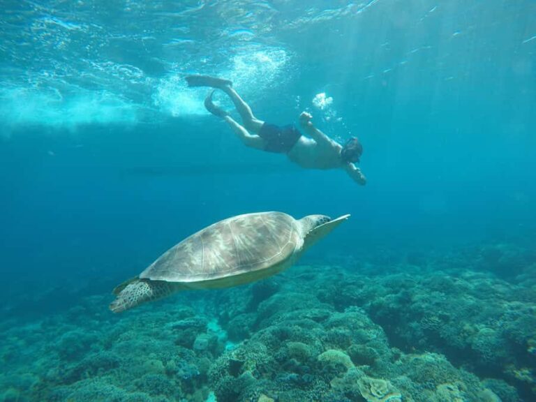 Gili Air Share Snorkeling Tour With GOPRO Documentation - Authentic Experiences from Reviews