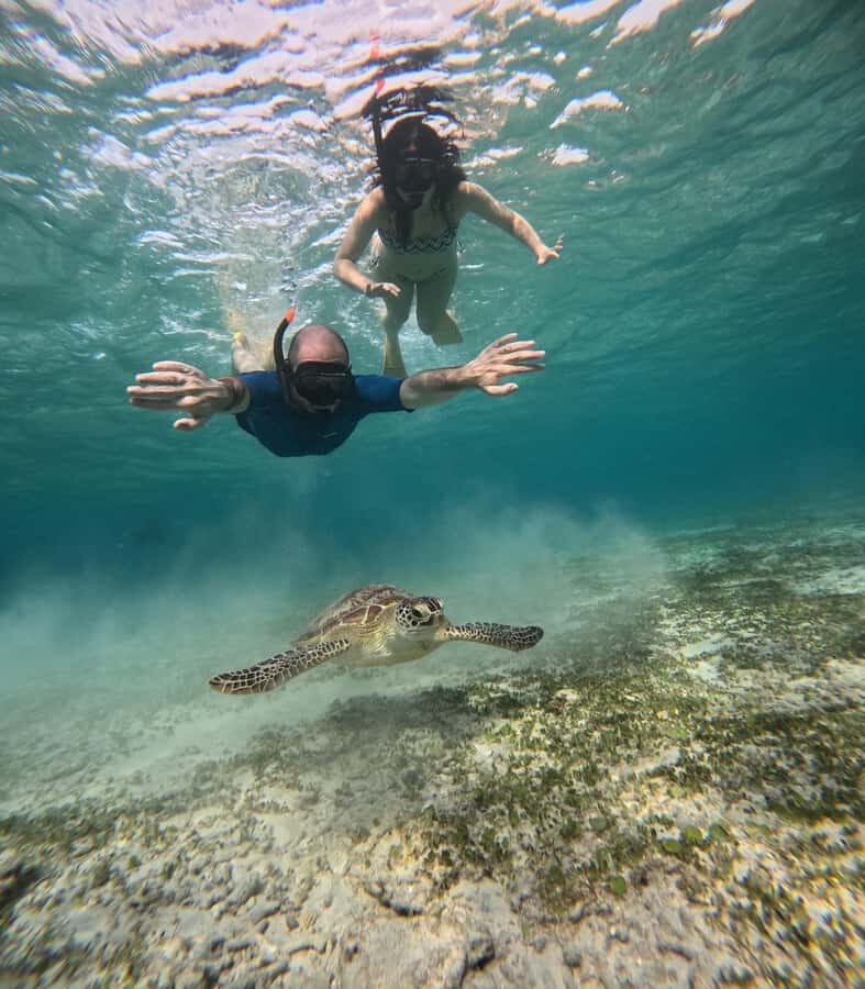 Gili Air: Sharring Snorkeling Experience by Boat - FAQ
