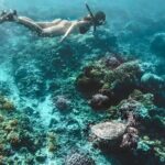 Gili Islands: Snorkeling Tour with Turtles and Statues - Practical Details and What to Expect