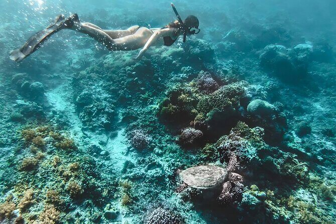 Gili Islands: Snorkeling Tour with Turtles and Statues - Practical Details and What to Expect