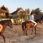 Gili Meno: 1-Hour Beginner Horse Riding Experience - The Practical Details